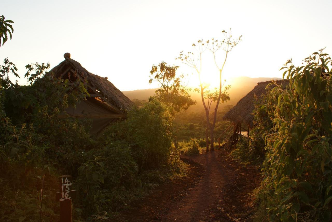 Crater Forest Tented Lodge Karatu Eksteriør bilde